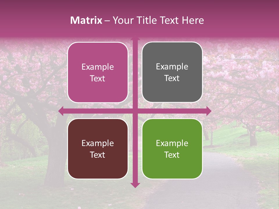 A Path With Pink Flowers On It And A Green Field In The Background PowerPoint Template
