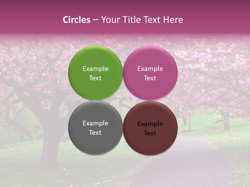 A Path With Pink Flowers On It And A Green Field In The Background PowerPoint Template