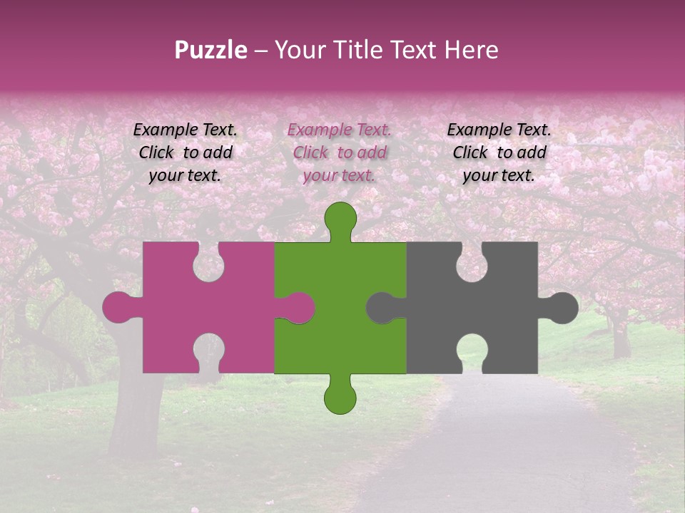 A Path With Pink Flowers On It And A Green Field In The Background PowerPoint Template