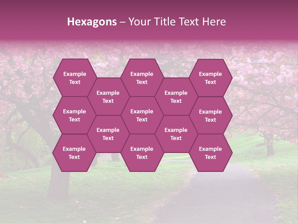 A Path With Pink Flowers On It And A Green Field In The Background PowerPoint Template