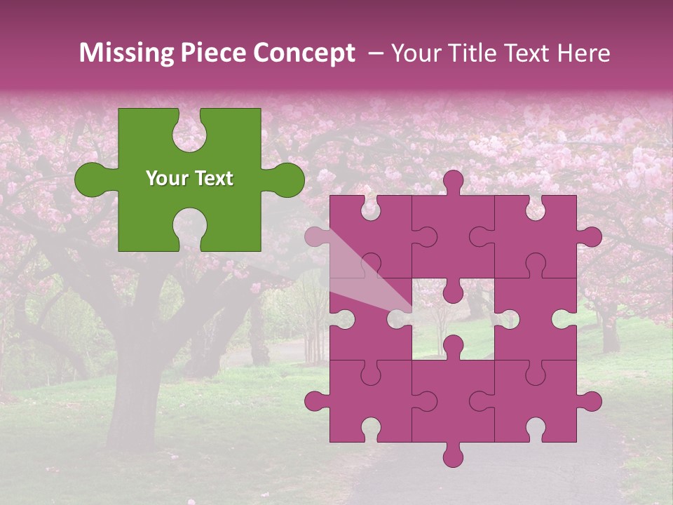 A Path With Pink Flowers On It And A Green Field In The Background PowerPoint Template