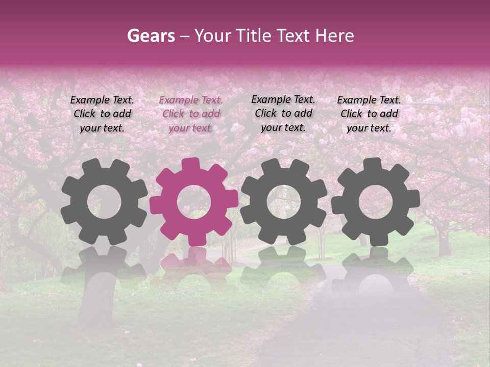 A Path With Pink Flowers On It And A Green Field In The Background PowerPoint Template