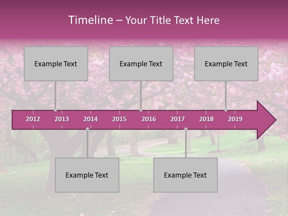 A Path With Pink Flowers On It And A Green Field In The Background PowerPoint Template