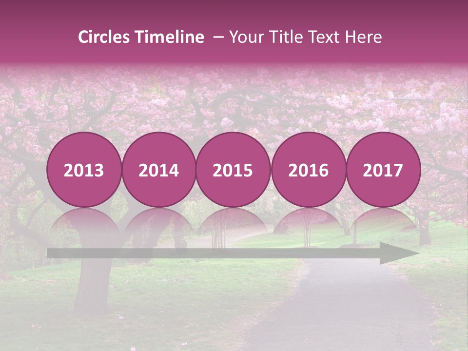 A Path With Pink Flowers On It And A Green Field In The Background PowerPoint Template