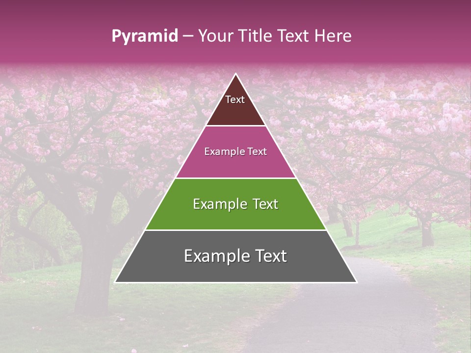 A Path With Pink Flowers On It And A Green Field In The Background PowerPoint Template