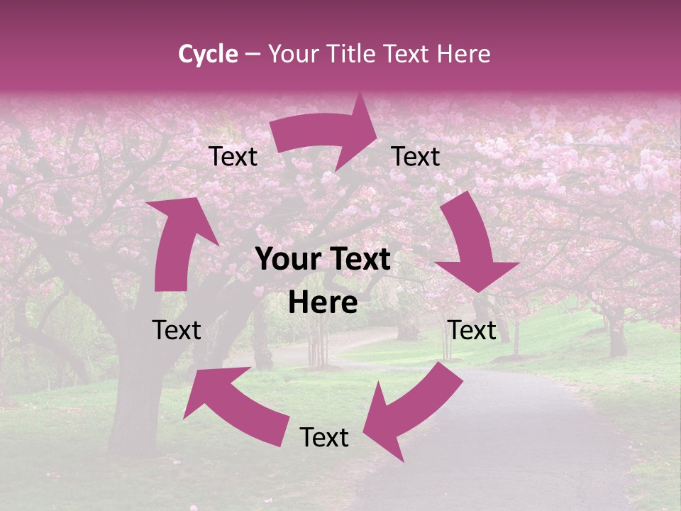A Path With Pink Flowers On It And A Green Field In The Background PowerPoint Template