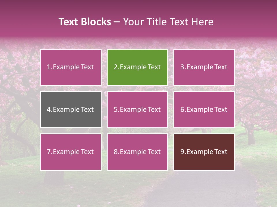 A Path With Pink Flowers On It And A Green Field In The Background PowerPoint Template