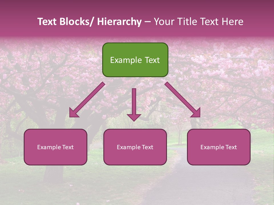 A Path With Pink Flowers On It And A Green Field In The Background PowerPoint Template