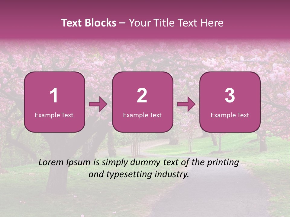 A Path With Pink Flowers On It And A Green Field In The Background PowerPoint Template