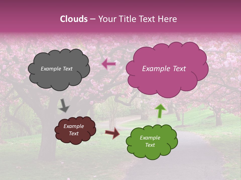 A Path With Pink Flowers On It And A Green Field In The Background PowerPoint Template