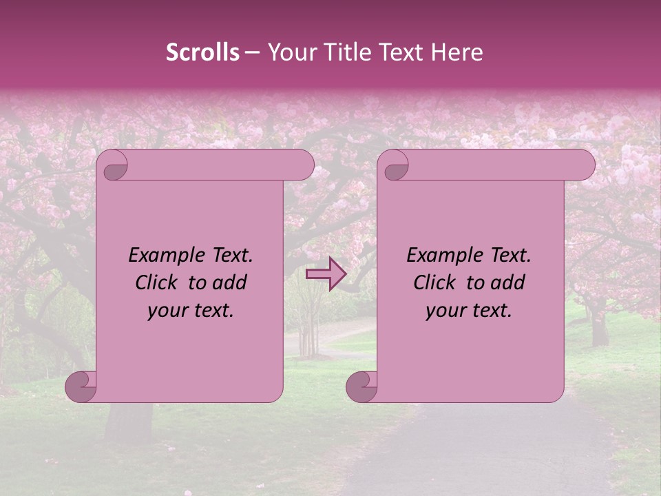 A Path With Pink Flowers On It And A Green Field In The Background PowerPoint Template