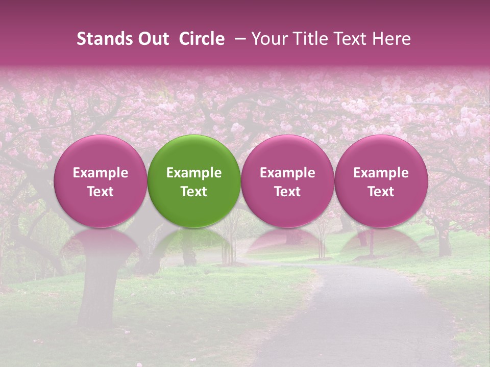 A Path With Pink Flowers On It And A Green Field In The Background PowerPoint Template