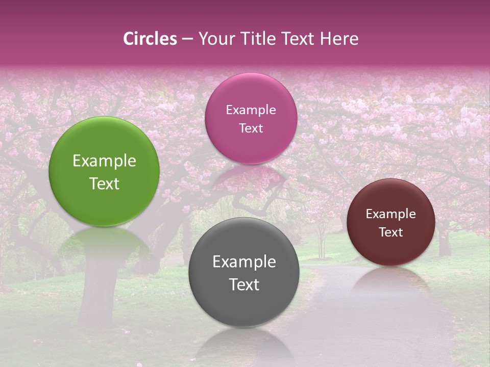 A Path With Pink Flowers On It And A Green Field In The Background PowerPoint Template