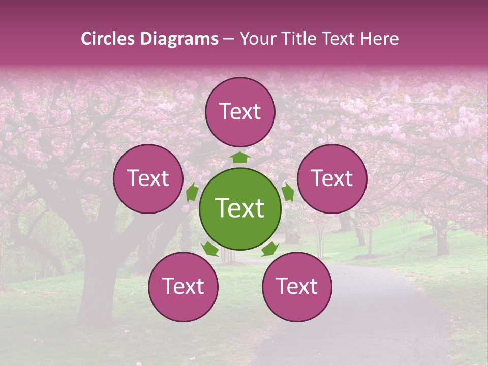 A Path With Pink Flowers On It And A Green Field In The Background PowerPoint Template