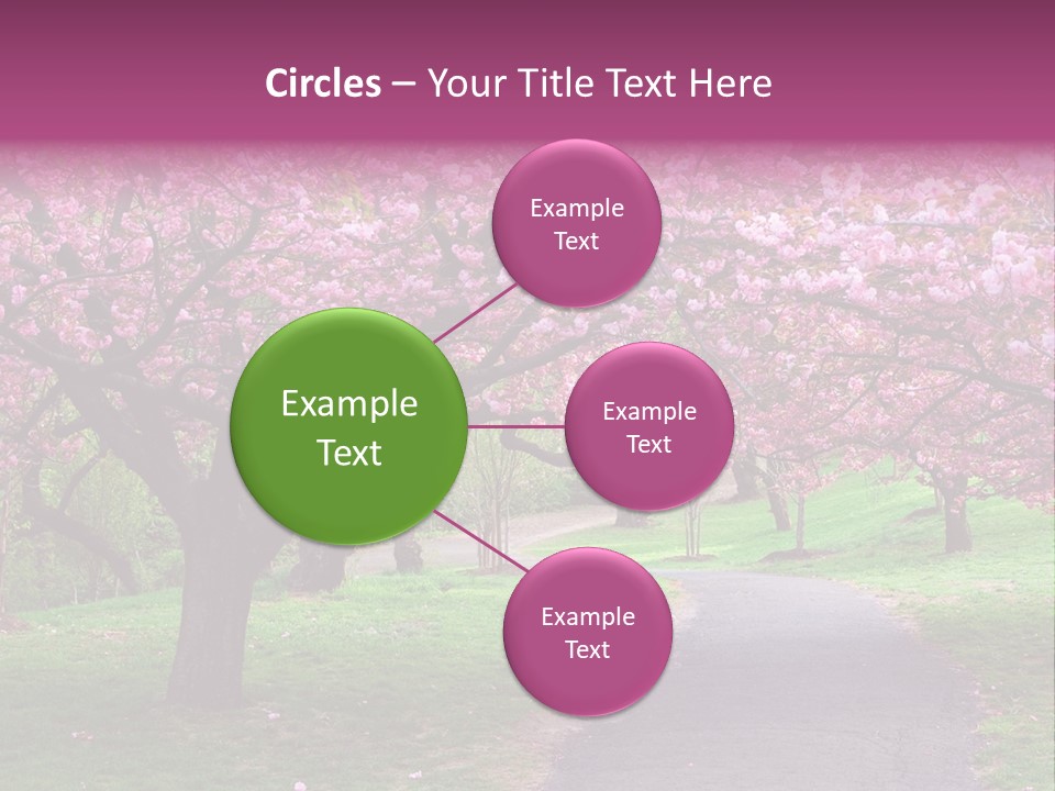 A Path With Pink Flowers On It And A Green Field In The Background PowerPoint Template