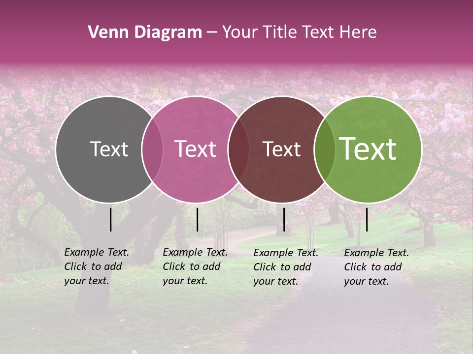 A Path With Pink Flowers On It And A Green Field In The Background PowerPoint Template
