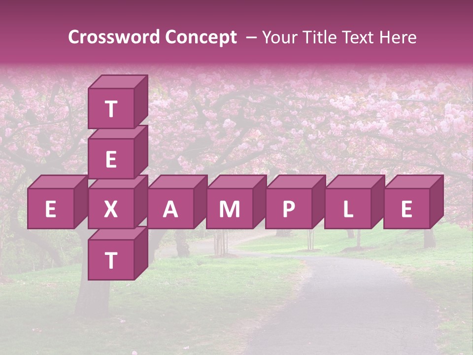 A Path With Pink Flowers On It And A Green Field In The Background PowerPoint Template