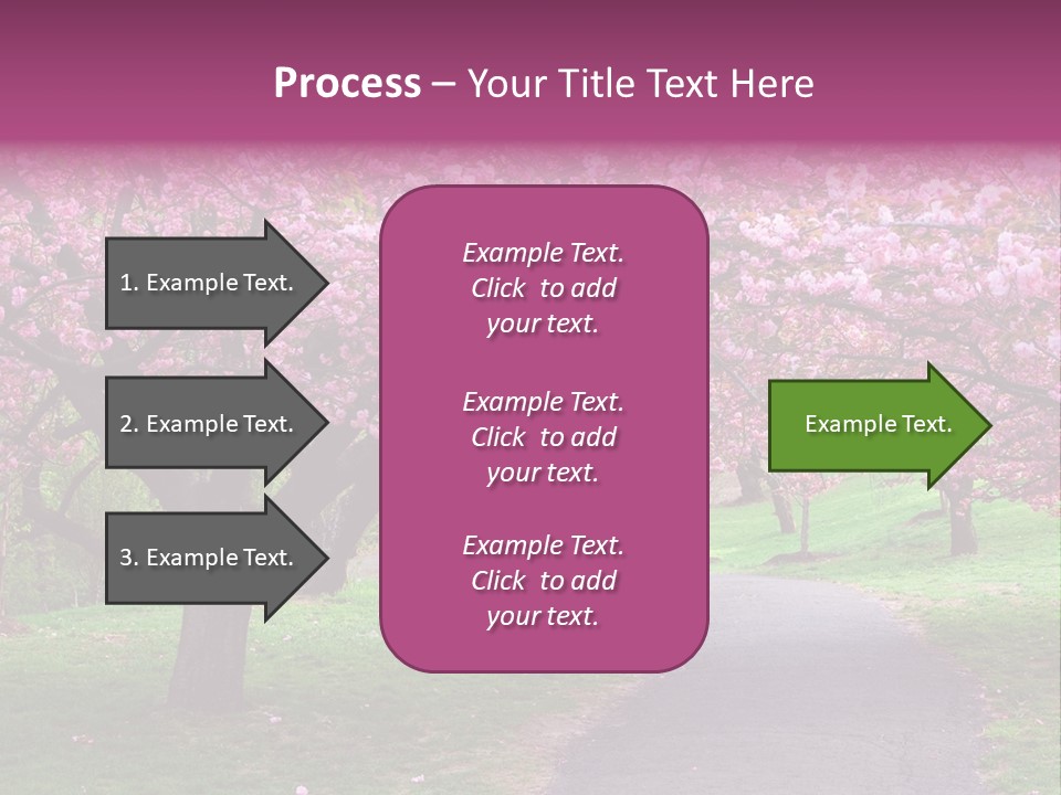 A Path With Pink Flowers On It And A Green Field In The Background PowerPoint Template