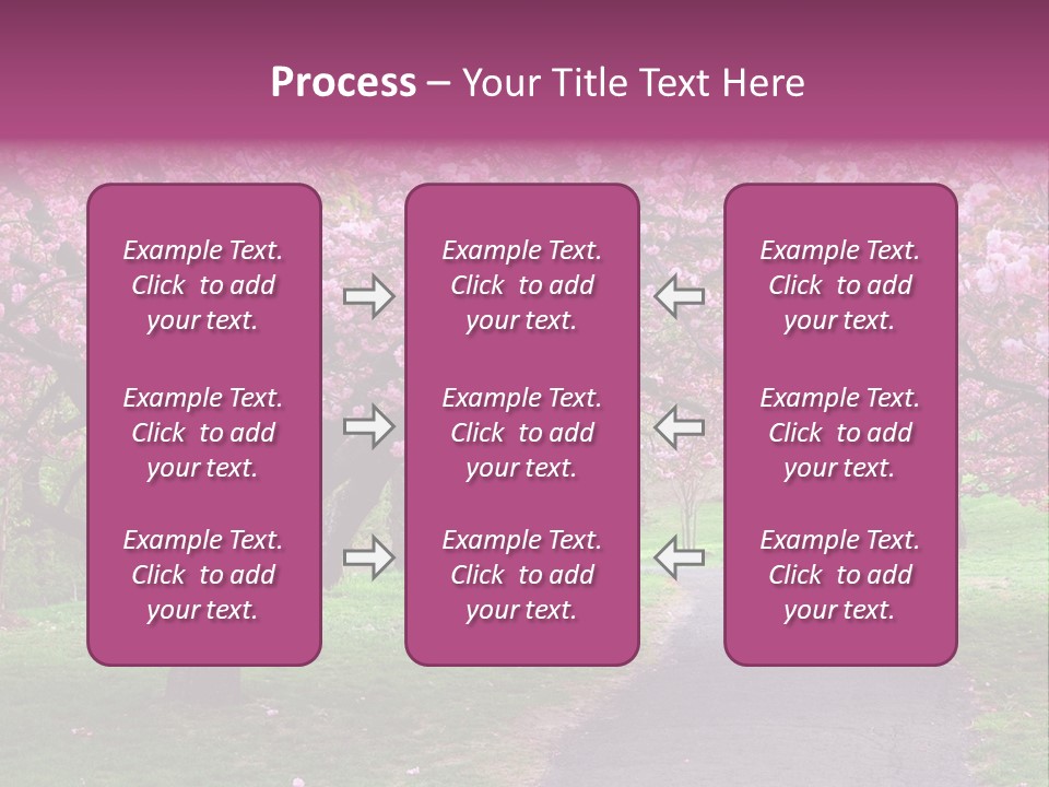 A Path With Pink Flowers On It And A Green Field In The Background PowerPoint Template