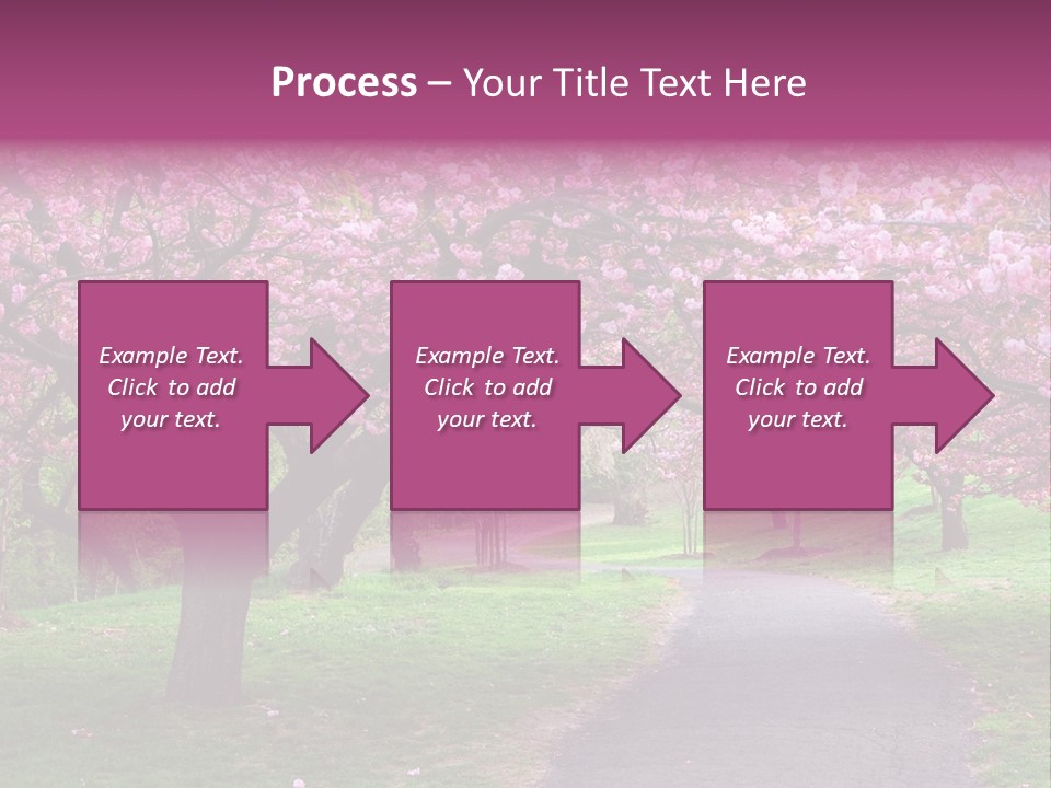 A Path With Pink Flowers On It And A Green Field In The Background PowerPoint Template