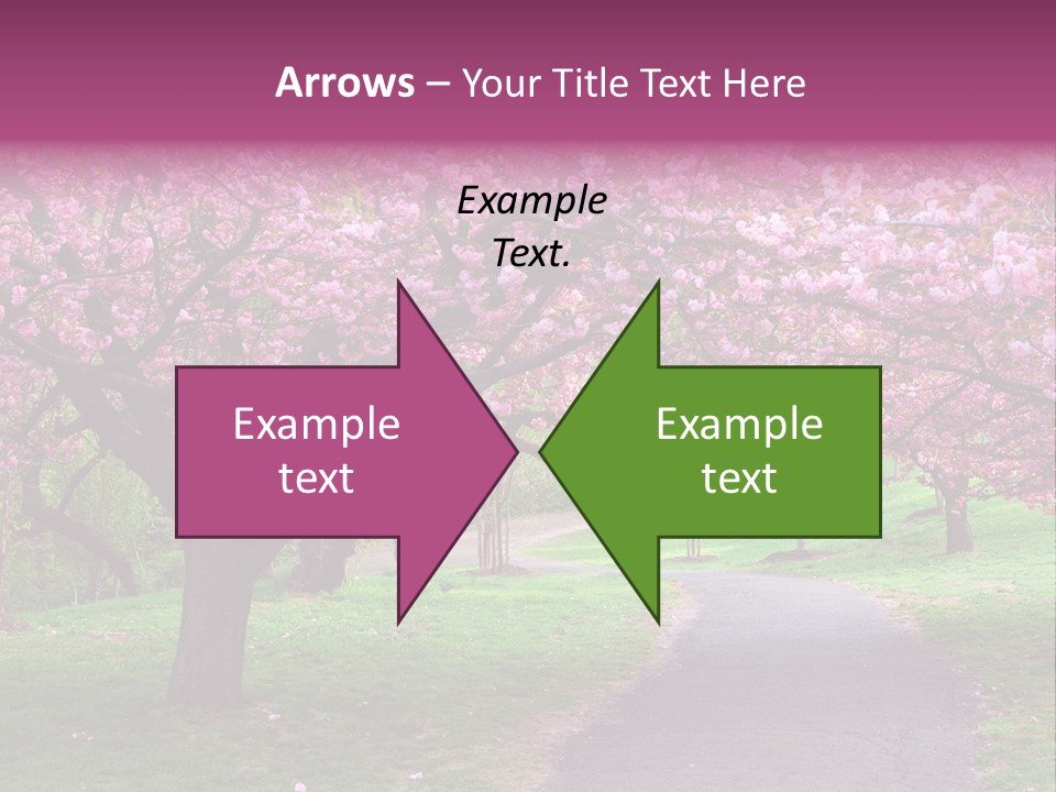 A Path With Pink Flowers On It And A Green Field In The Background PowerPoint Template