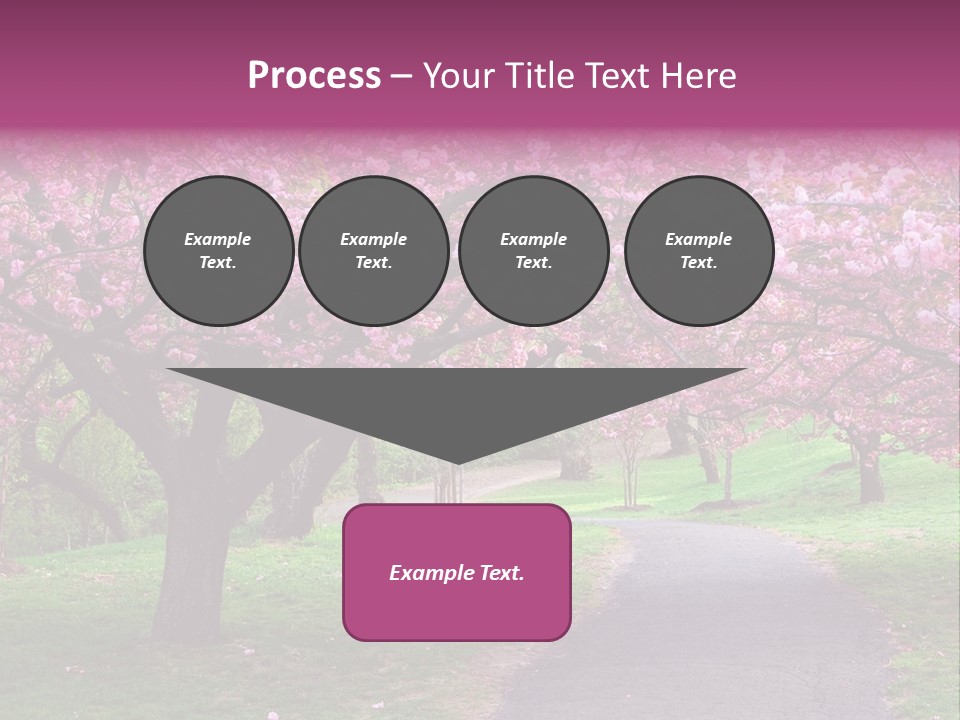 A Path With Pink Flowers On It And A Green Field In The Background PowerPoint Template