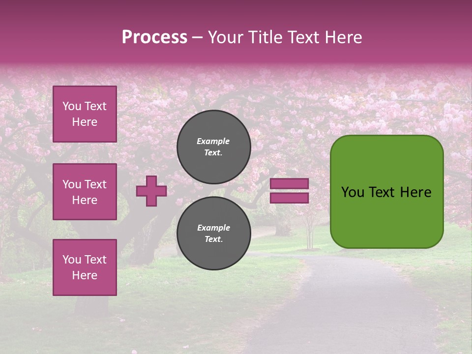 A Path With Pink Flowers On It And A Green Field In The Background PowerPoint Template