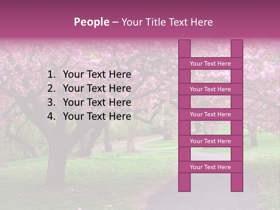 A Path With Pink Flowers On It And A Green Field In The Background PowerPoint Template