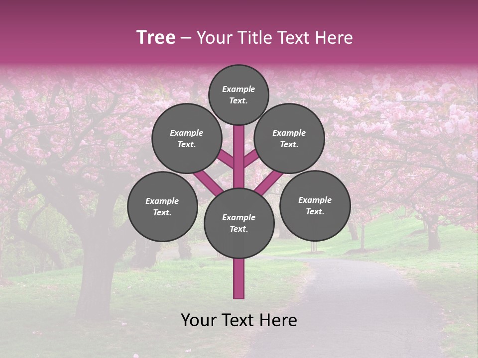 A Path With Pink Flowers On It And A Green Field In The Background PowerPoint Template