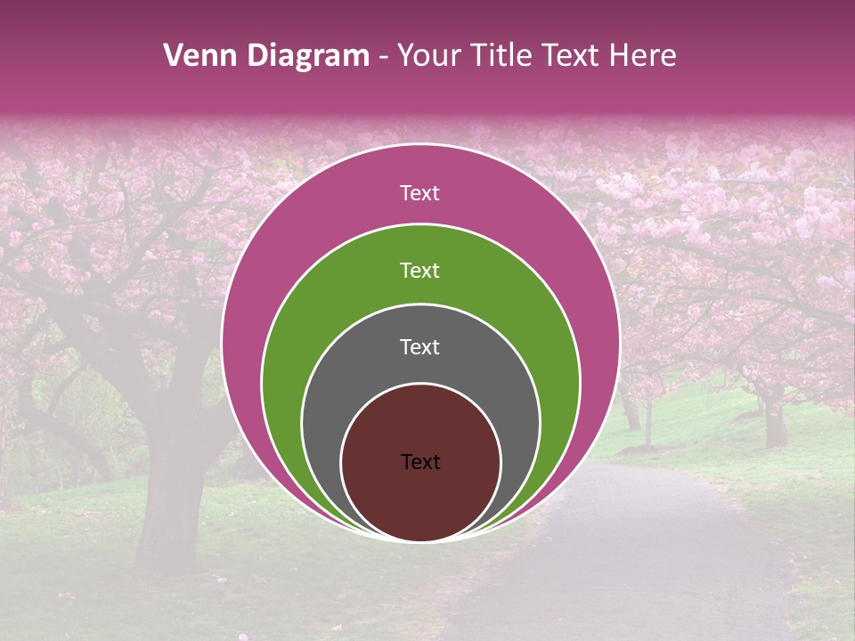 A Path With Pink Flowers On It And A Green Field In The Background PowerPoint Template