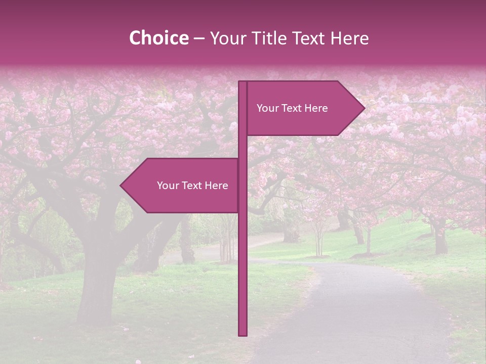 A Path With Pink Flowers On It And A Green Field In The Background PowerPoint Template