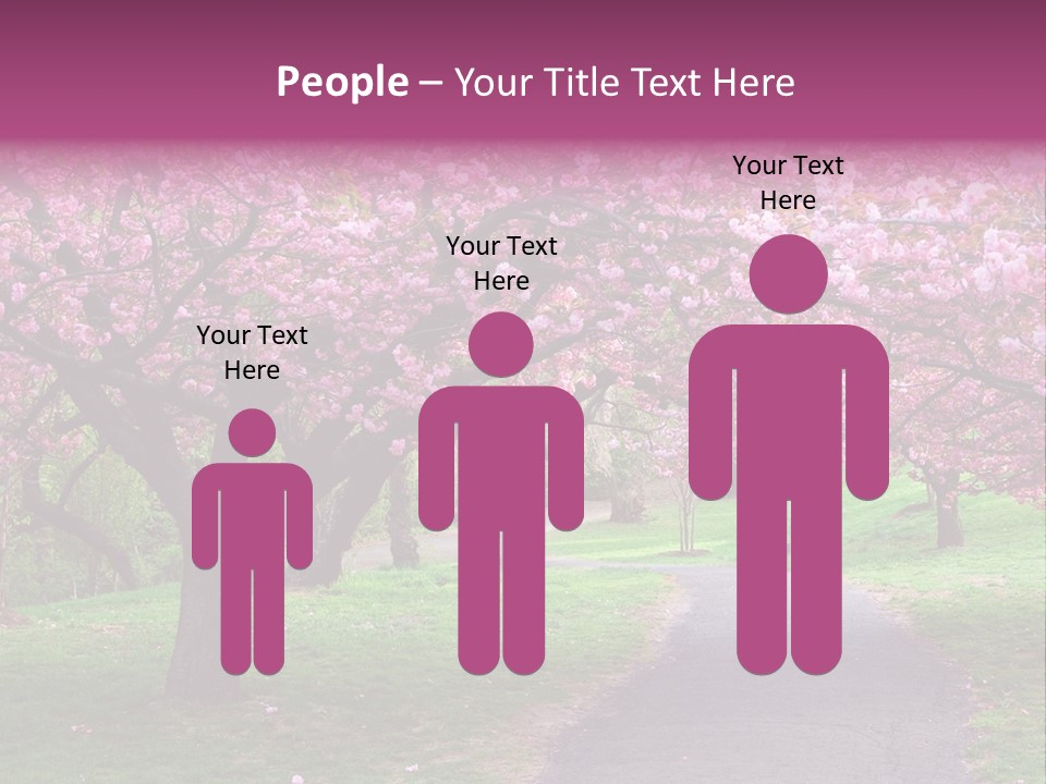 A Path With Pink Flowers On It And A Green Field In The Background PowerPoint Template