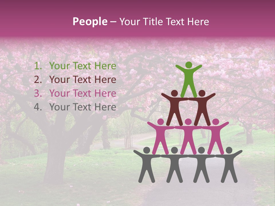 A Path With Pink Flowers On It And A Green Field In The Background PowerPoint Template