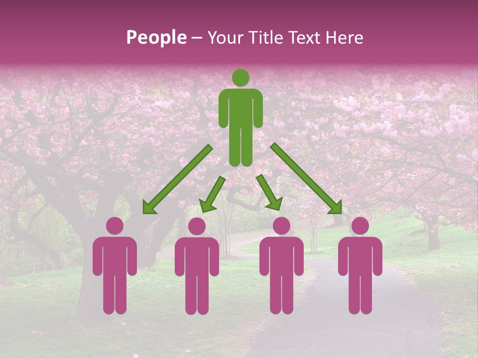 A Path With Pink Flowers On It And A Green Field In The Background PowerPoint Template