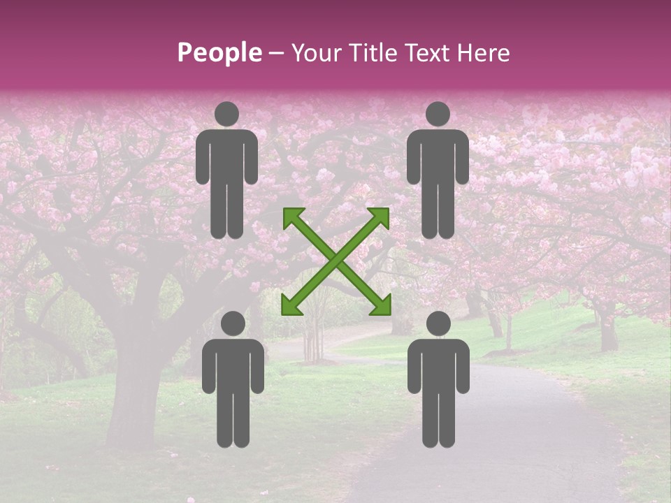 A Path With Pink Flowers On It And A Green Field In The Background PowerPoint Template