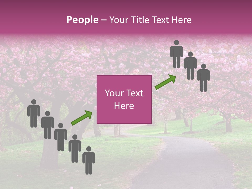 A Path With Pink Flowers On It And A Green Field In The Background PowerPoint Template