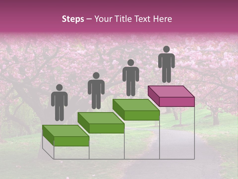 A Path With Pink Flowers On It And A Green Field In The Background PowerPoint Template
