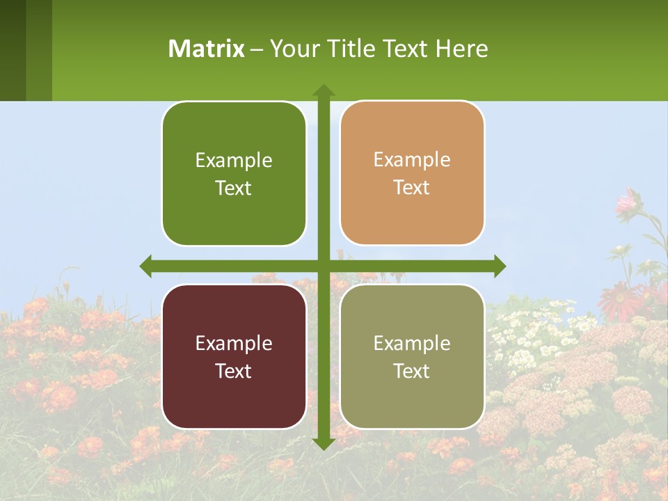 A Field Of Flowers With A Sky Background PowerPoint Template