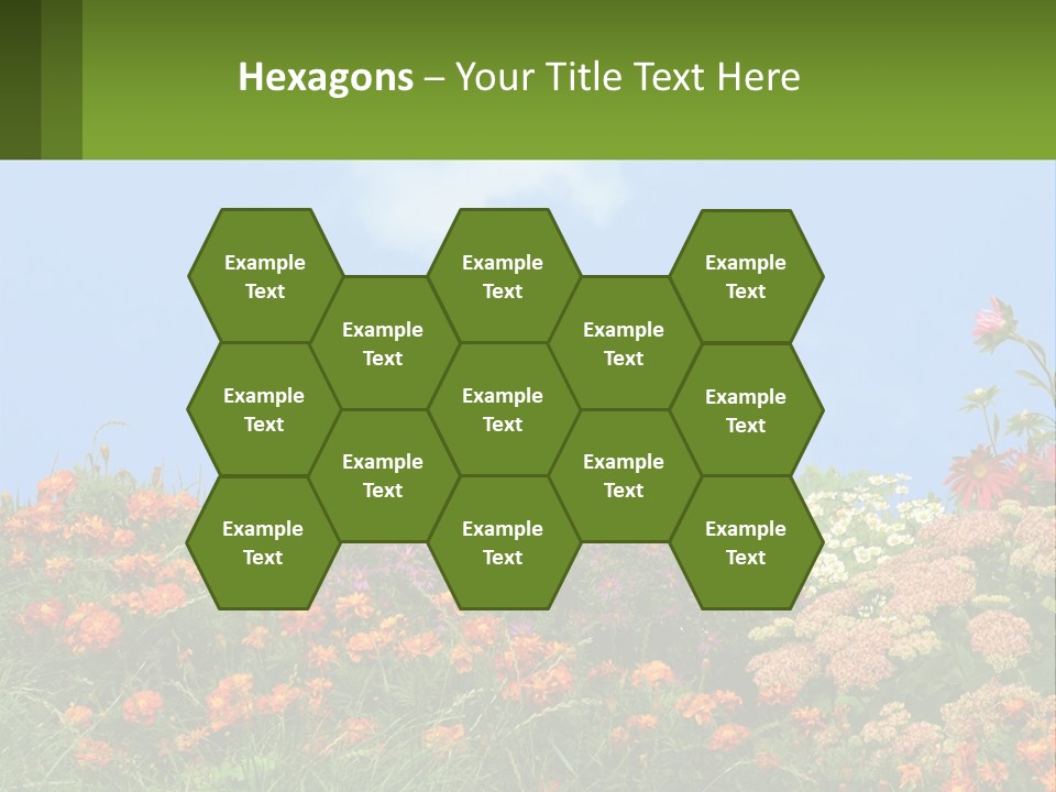 A Field Of Flowers With A Sky Background PowerPoint Template