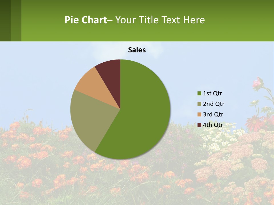 A Field Of Flowers With A Sky Background PowerPoint Template