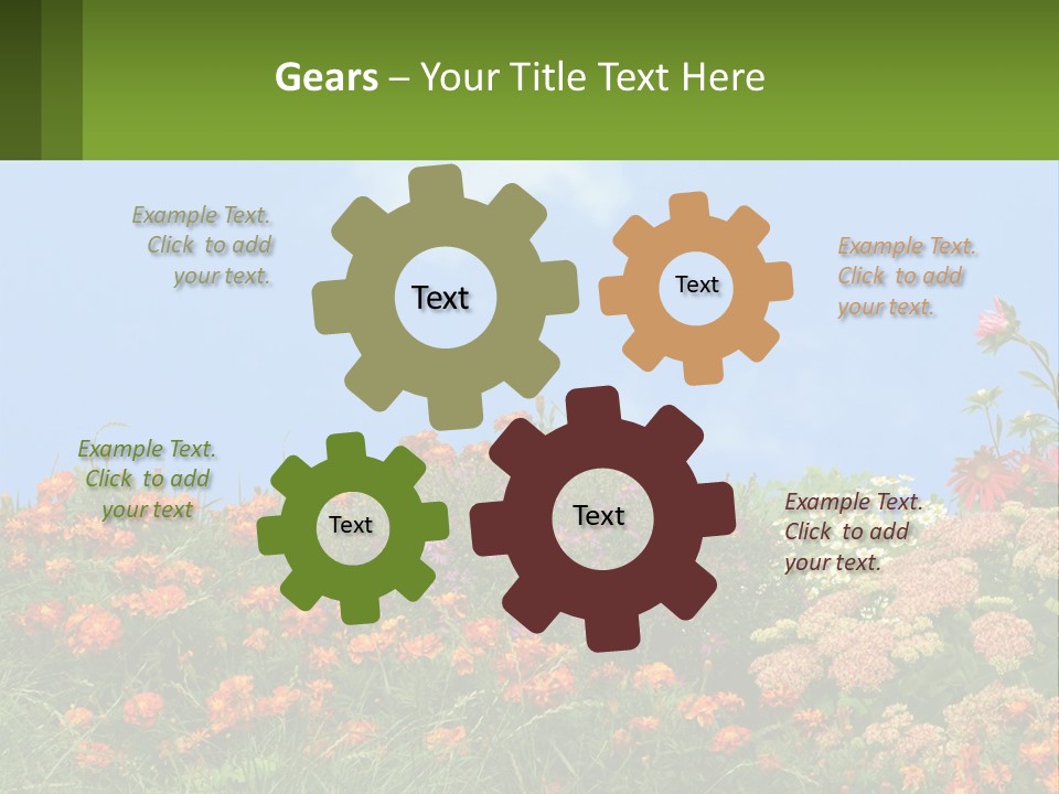 A Field Of Flowers With A Sky Background PowerPoint Template