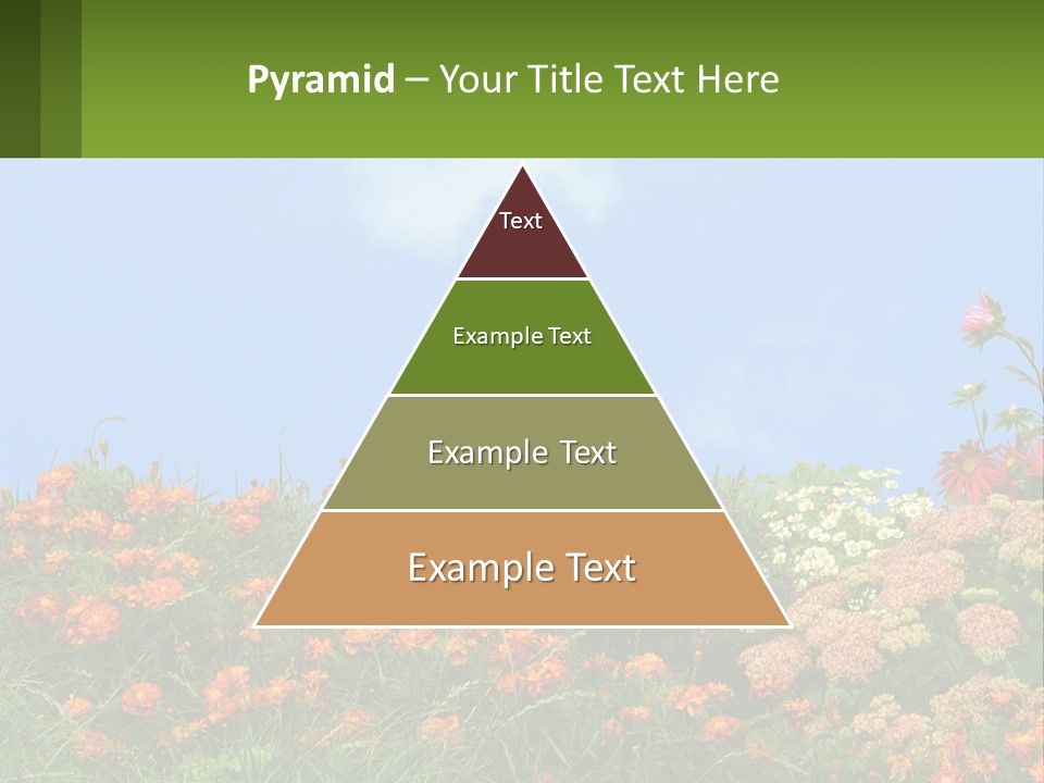 A Field Of Flowers With A Sky Background PowerPoint Template