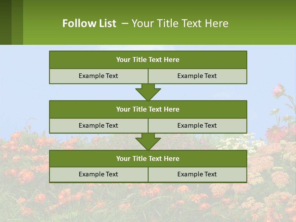 A Field Of Flowers With A Sky Background PowerPoint Template