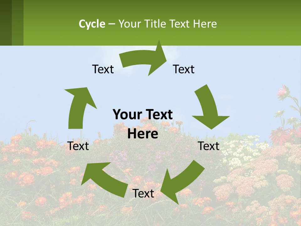 A Field Of Flowers With A Sky Background PowerPoint Template