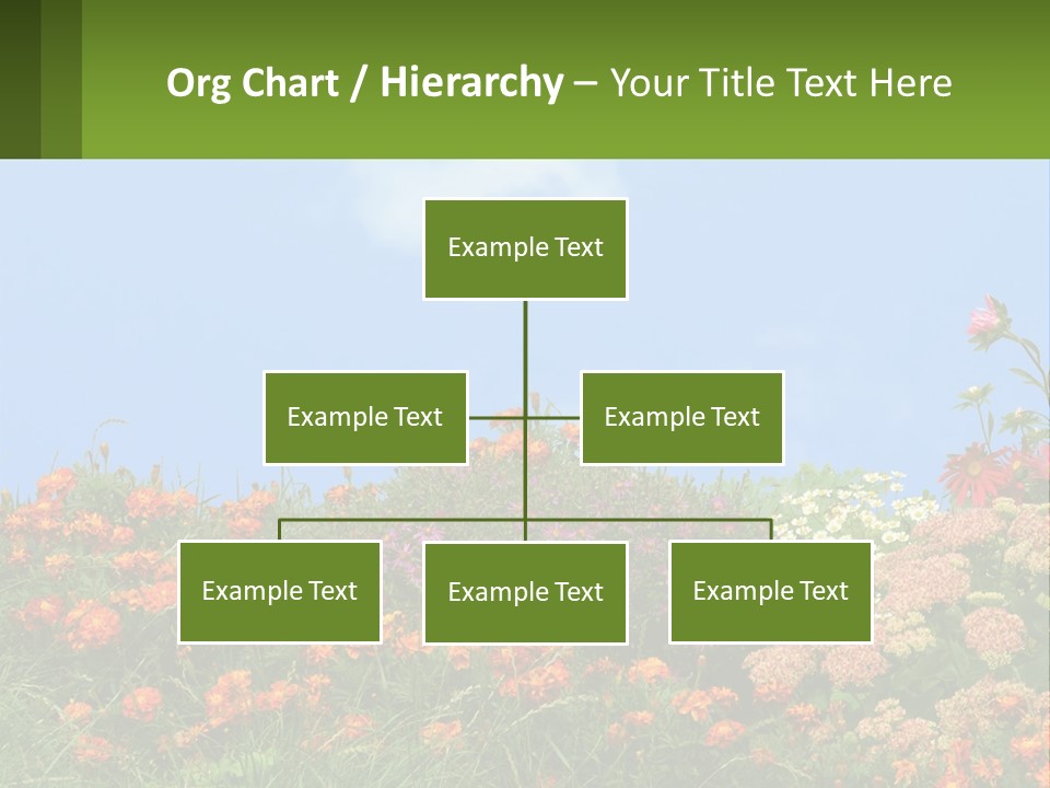 A Field Of Flowers With A Sky Background PowerPoint Template