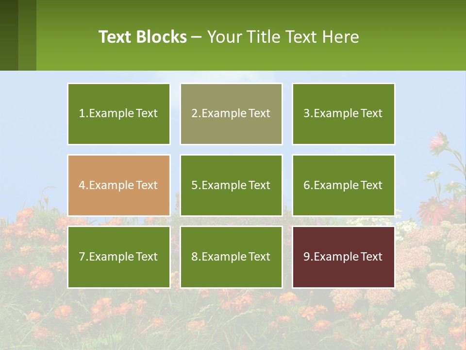 A Field Of Flowers With A Sky Background PowerPoint Template