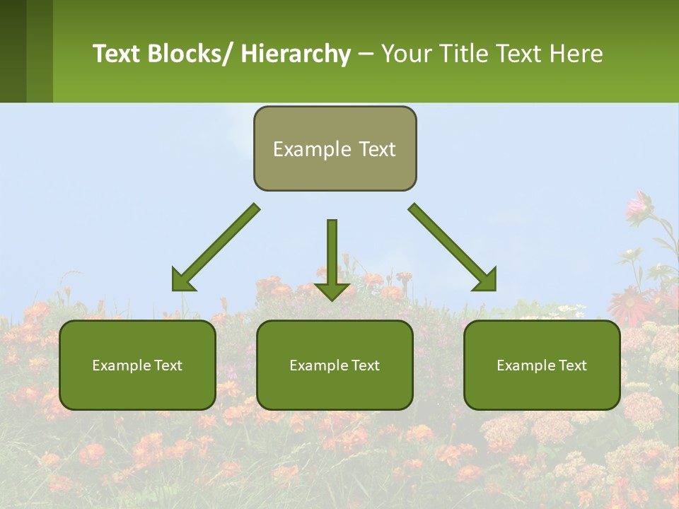 A Field Of Flowers With A Sky Background PowerPoint Template