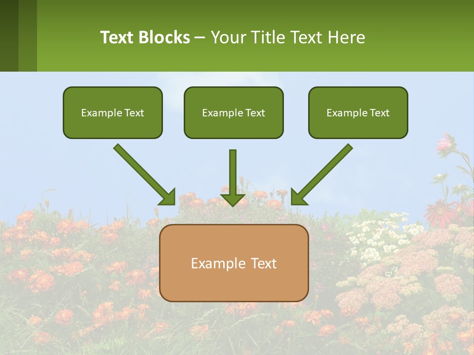 A Field Of Flowers With A Sky Background PowerPoint Template