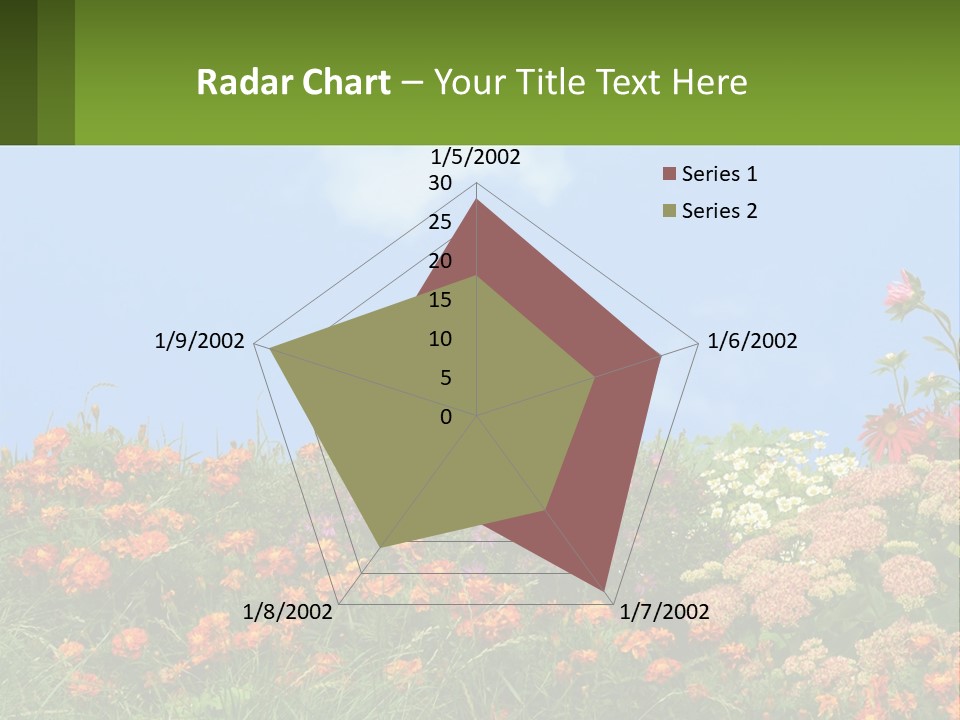 A Field Of Flowers With A Sky Background PowerPoint Template