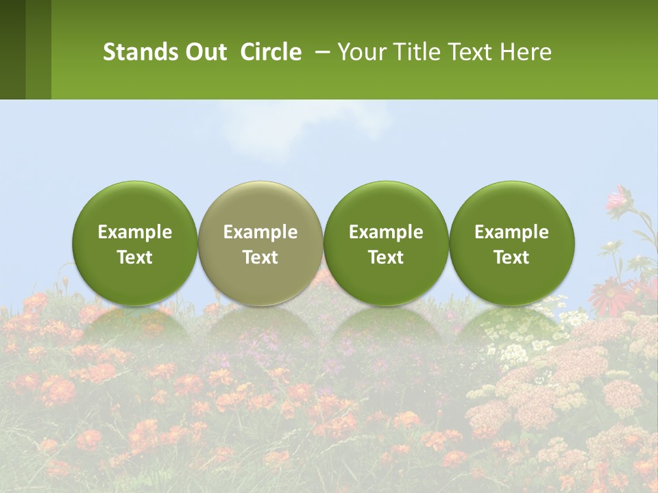 A Field Of Flowers With A Sky Background PowerPoint Template